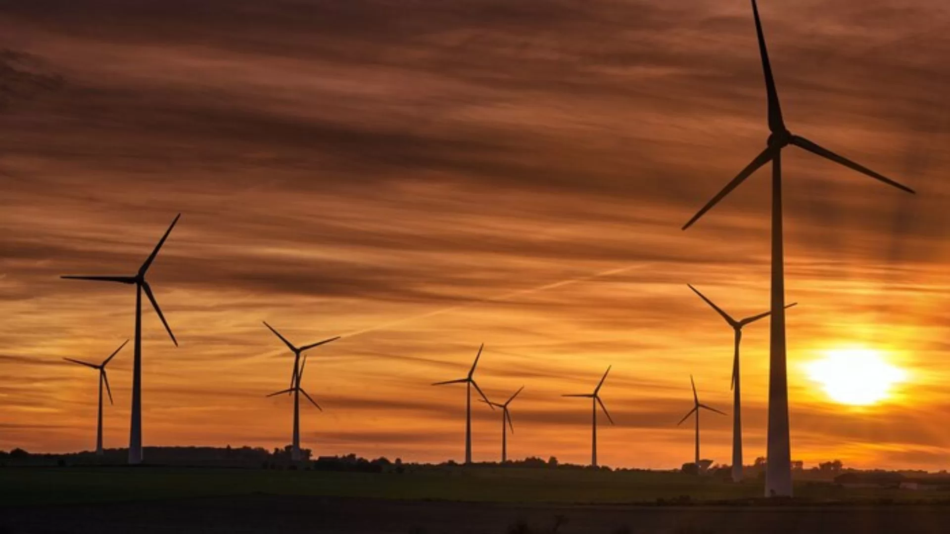 Amazon alcança meta de energia 100% renovável