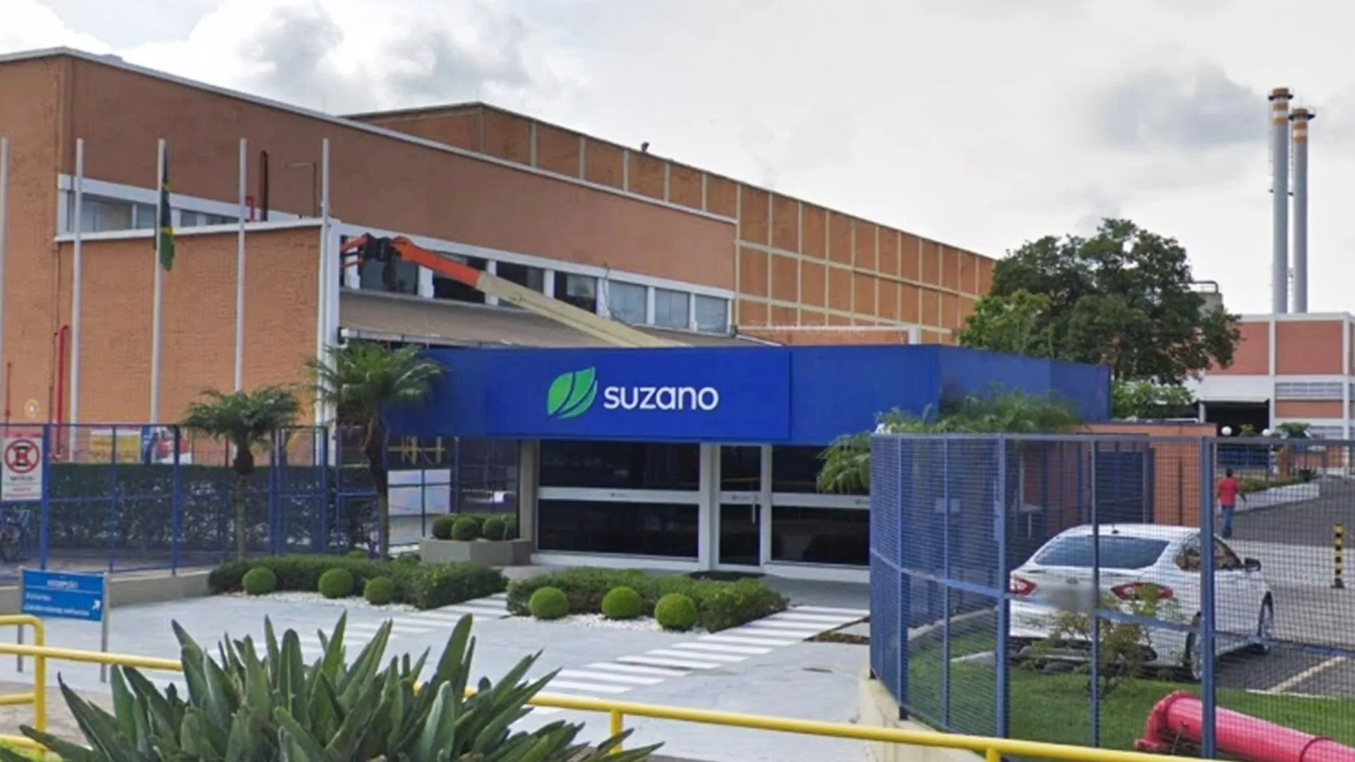 Suzano cria plataforma com IA generativa da Google Cloud