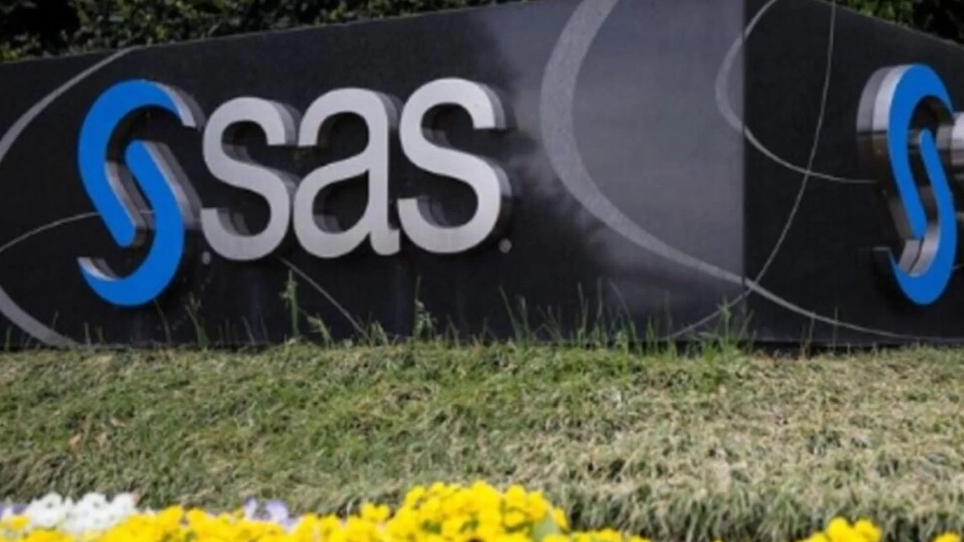 SAS adquire propriedade intelectual da Hazy, pioneira em dados sintéticos