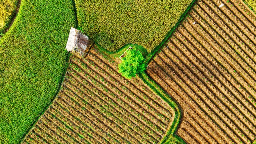 65% das empresas brasileiras estão longe de atender padrões globais de sustentabilidade