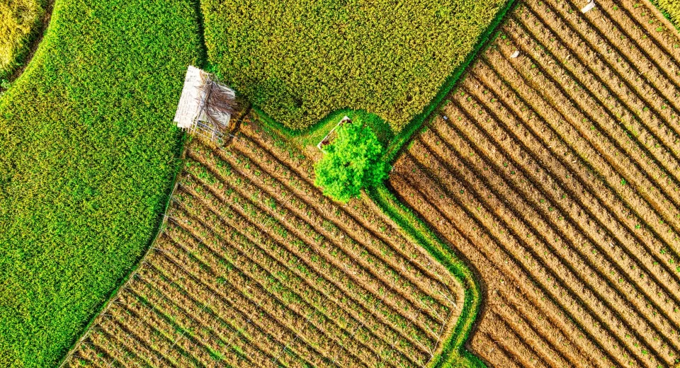 65% das empresas brasileiras estão longe de atender padrões globais de sustentabilidade