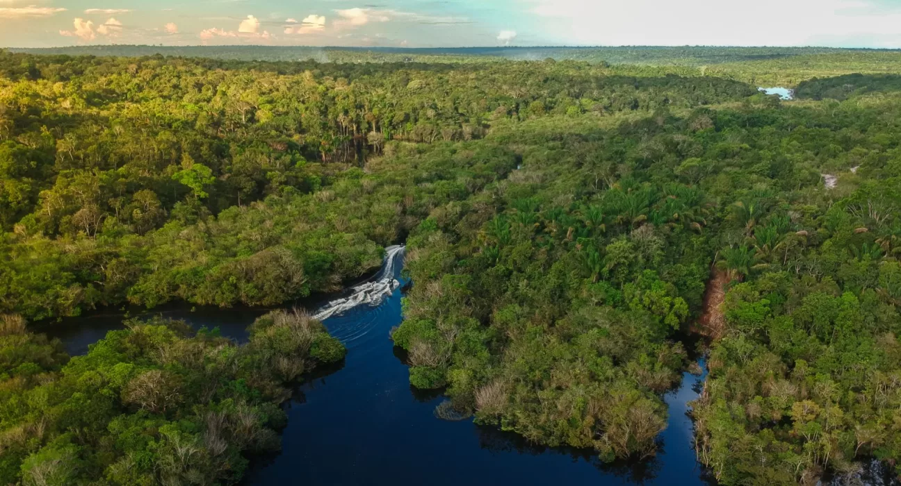 Microsoft amplia compromisso de restaurar a Amazônia e a Mata Atlântica com a re.green